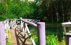 Ponte sobre o Lago – Mirágua Refúgios